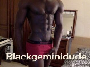 Blackgeminidude