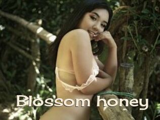 Blossom_honey