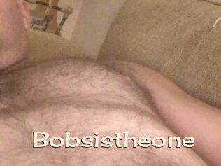 Bobsistheone