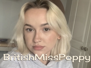 BritishMissPoppy