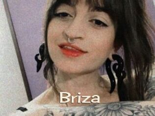 Briza