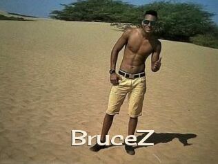 BruceZ