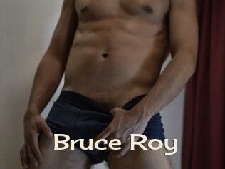 Bruce_Roy