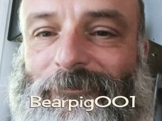 Bearpig001