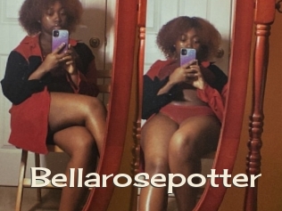 Bellarosepotter