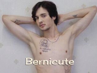 Bernicute