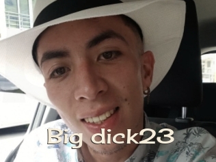 Big_dick23