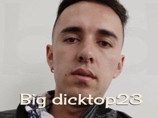 Big_dicktop23