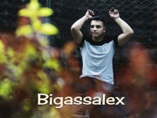 Bigassalex