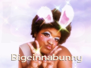 Bigcinnabunny