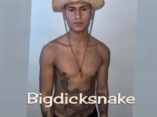 bigdicksnake Big Dicks Round Ass