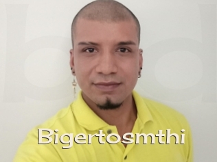 Bigertosmthi