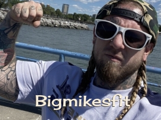 Bigmikesfit