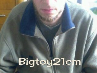 Bigtoy21cm