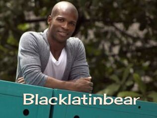 Blacklatinbear