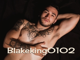 Blakeking0102