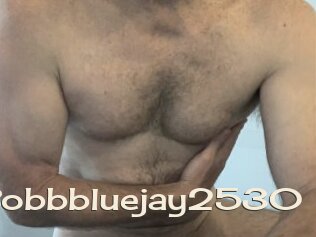 Bobbbluejay2530