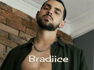 Bradiice