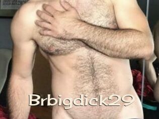 Brbigdick29