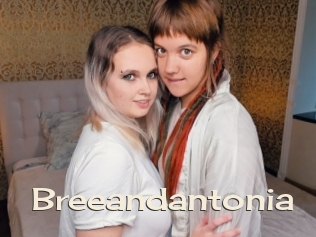 Breeandantonia