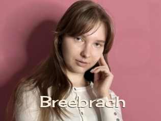 Breebrach