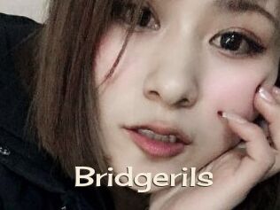 Bridgerils