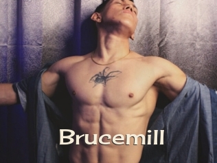 Brucemill