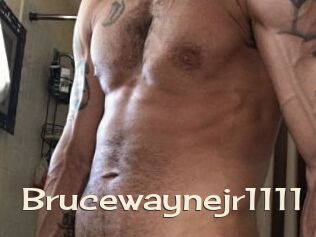 Brucewaynejr1111