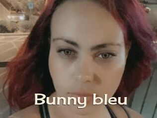 Bunny_bleu