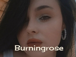 Burningrose