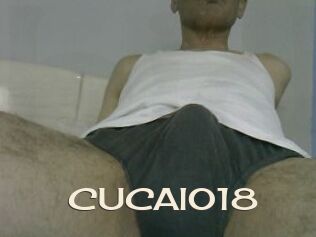 CUCAIO18