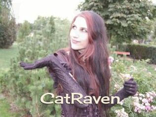 CatRaven