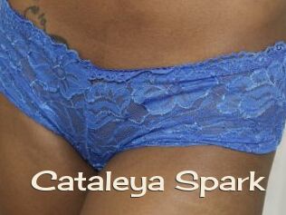 Cataleya_Spark
