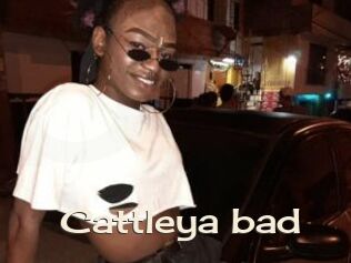 Cattleya_bad