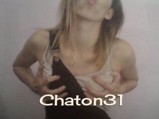 Chaton31