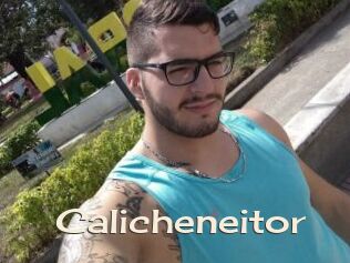 Calicheneitor