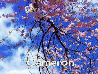 Cameron