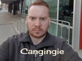 Cangingie