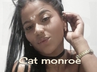 Cat_monroe