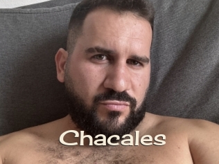 Chacales