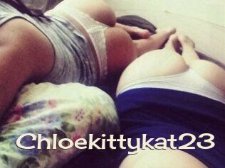 Chloekittykat23
