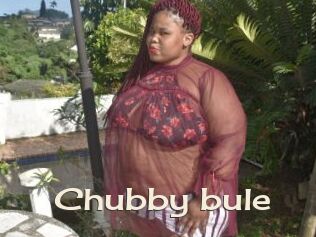 Chubby_bule