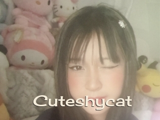 Cuteshycat