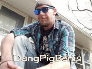 DangPigBenis