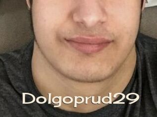 Dolgoprud29