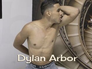 Dylan_Arbor