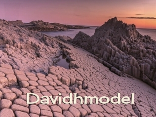 Davidhmodel