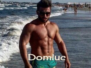 Domluc