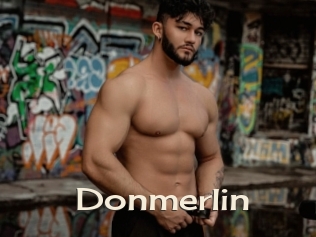 Donmerlin