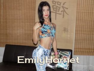 EmilyHornet